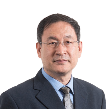 Ir Professor Ming ZHANG