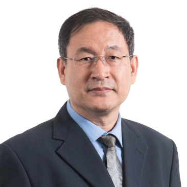 Ir Prof Ming Zhang