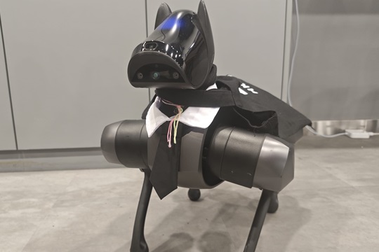 Bark-tastic AI: Training Your Digital Doggo!